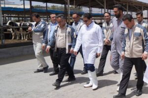 نگین دامپروری ایران