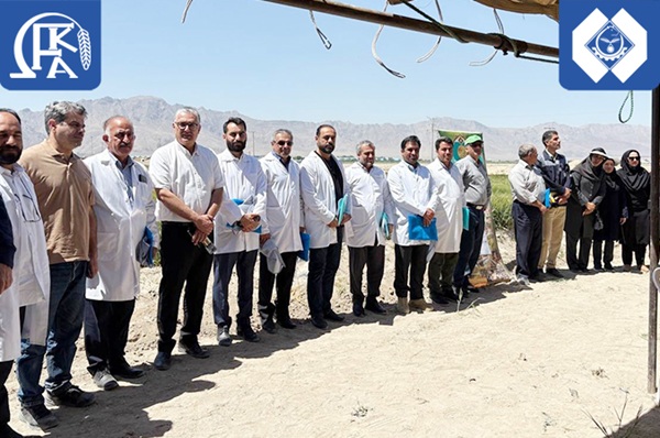 کشاورزی دانش بنیان