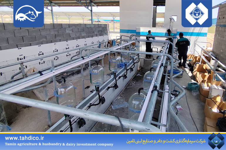 شیردوش پیشرفته