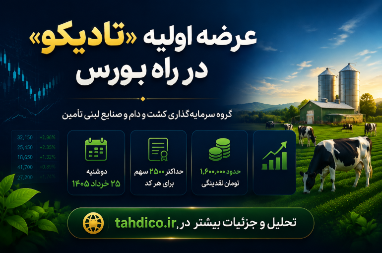 عرضه اولیه تادیکو